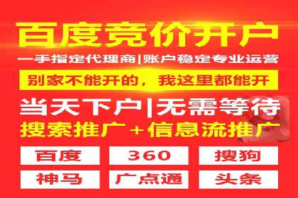 行业领先企业的SEM代理案例剖析